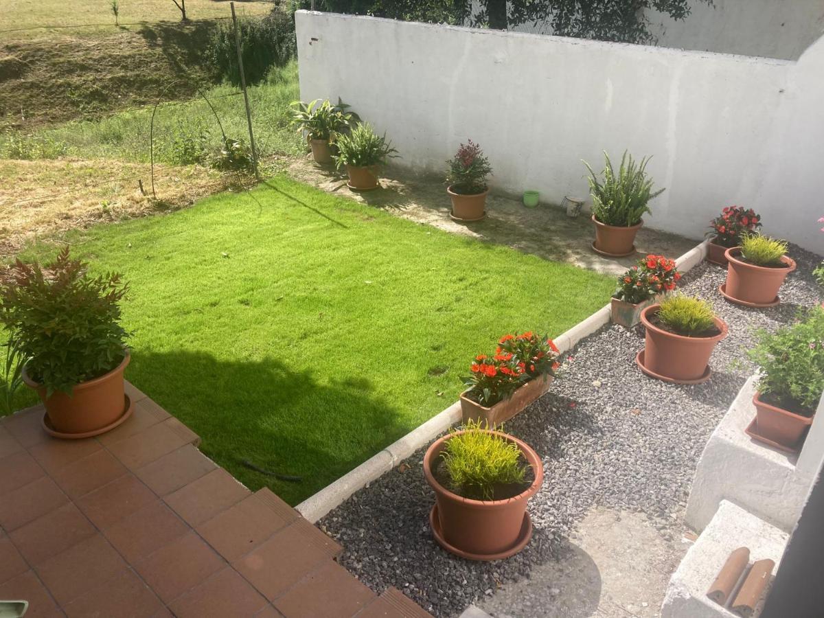 Apartamento Con Jardin En El Oviedo Antiguo Dış mekan fotoğraf